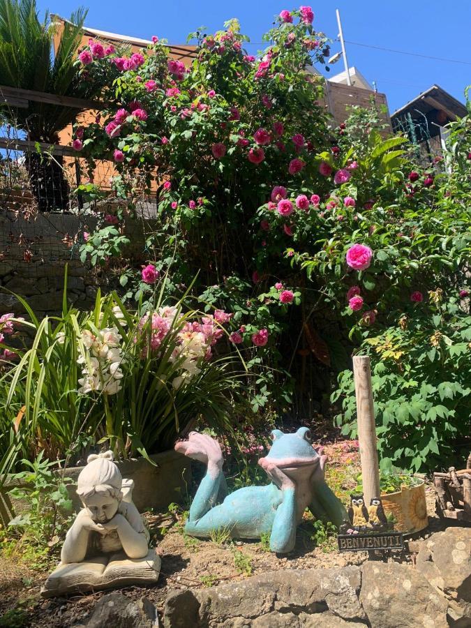 The Sea Flower Appartamento Con Giardino E Garage Auto Incluso サンレモ エクステリア 写真